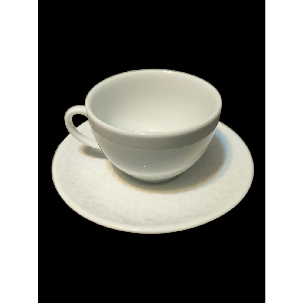 William-Sonoma Apilco Aqua Cup and Saucer Made in France Porcelaine